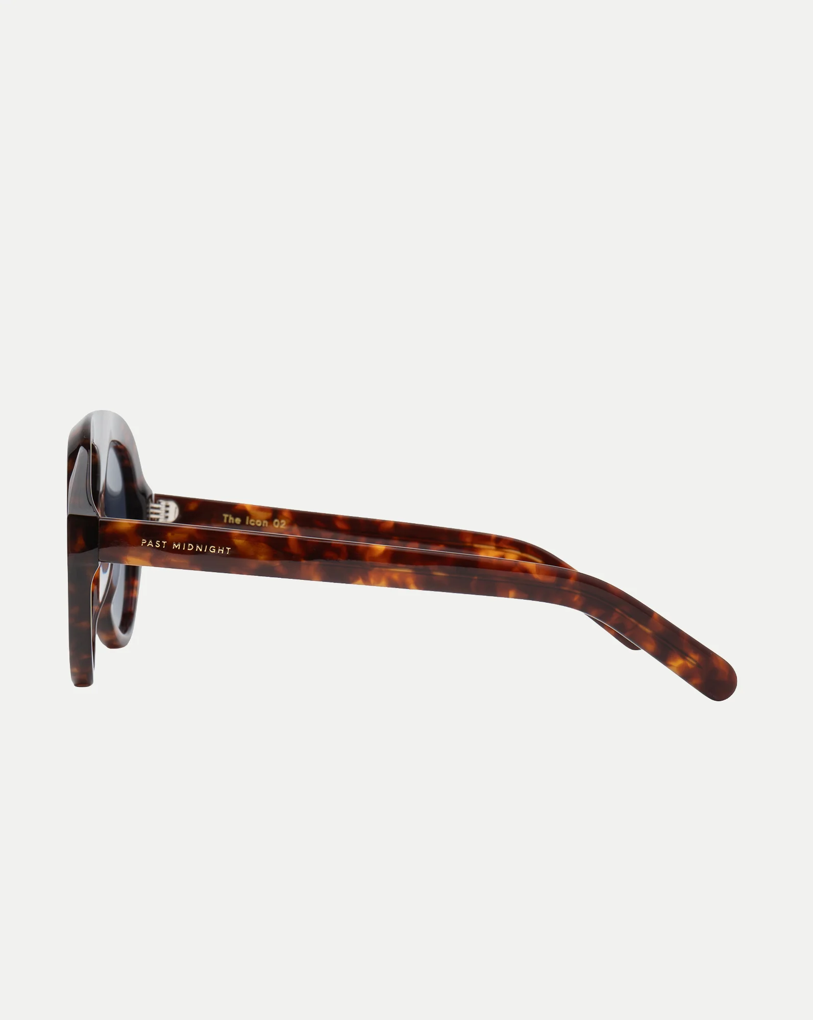 The Icon Aviator Sunglasses - Image 3
